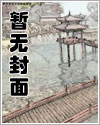 教宗希金斯怎么打